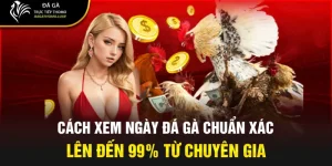 Cách xem ngày đá gà