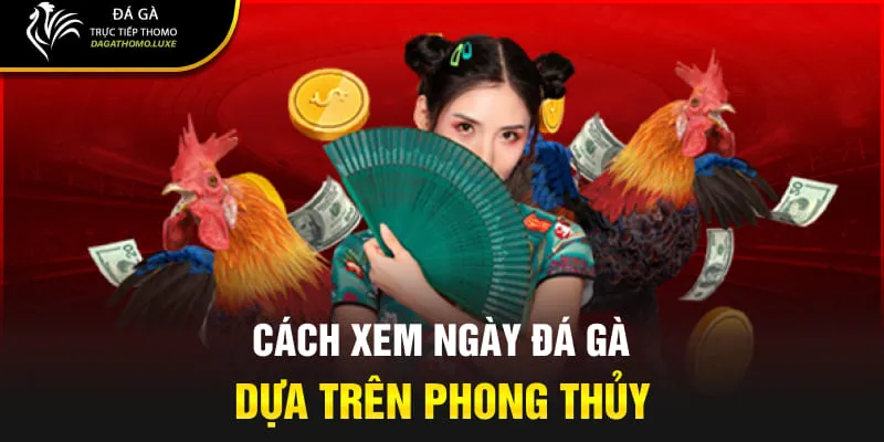 Cách xem ngày đá gà dựa trên phong thủy