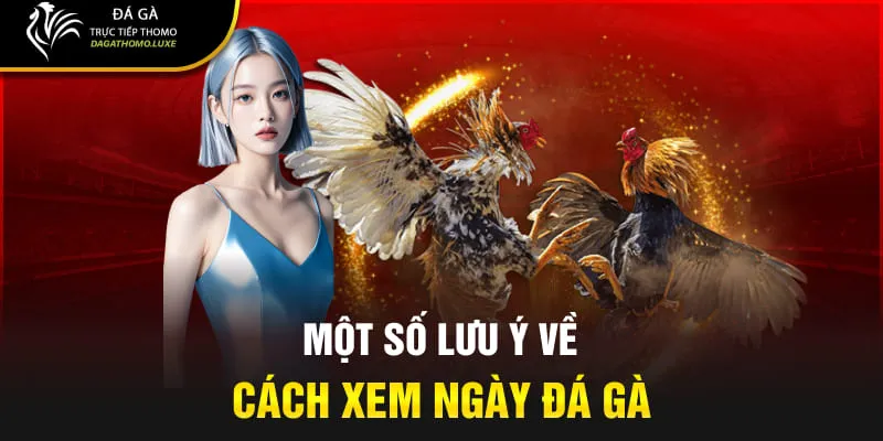 Một số lưu ý về cách xem ngày đá gà
