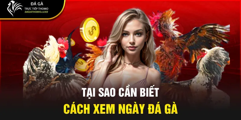 Tại sao cần biết cách xem ngày đá gà