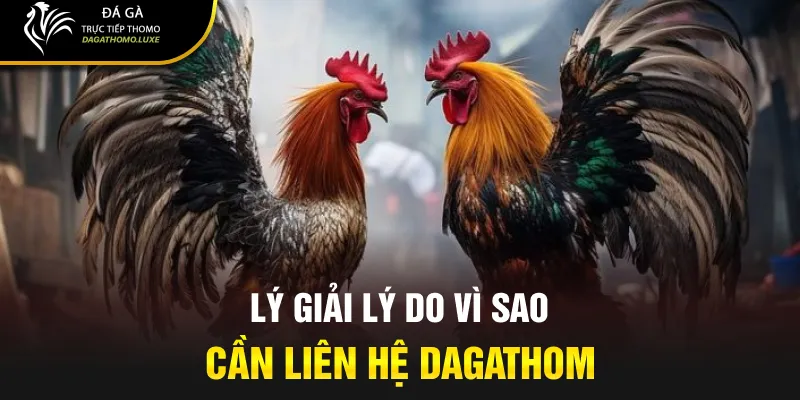 Lý giải lý do vì sao cần liên hệ dagathomo