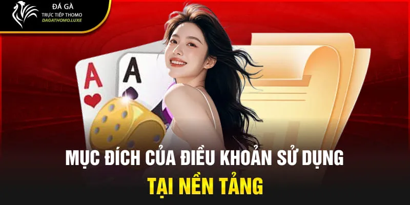 Mục đích của điều khoản sử dụng tại nền tảng