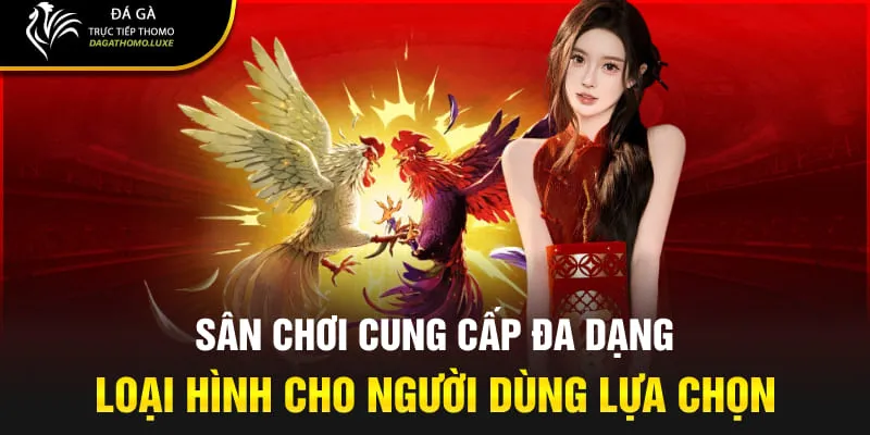 Sân chơi cung cấp đa dạng loại hình cho người dùng lựa chọn