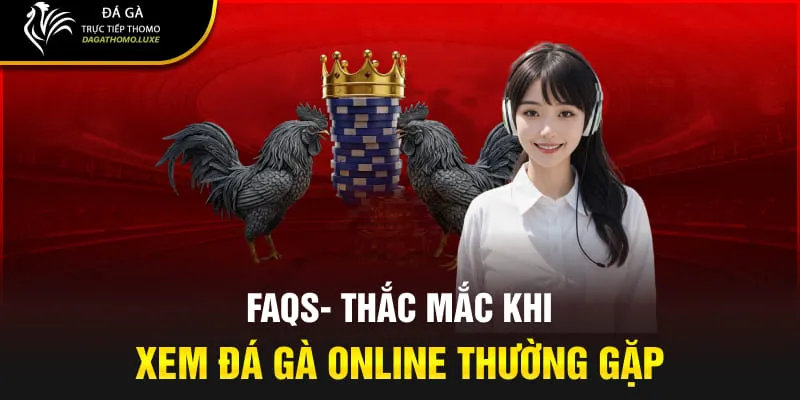 FAQs- Thắc mắc khi xem đá gà online thường gặp